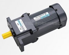 <b>感应电机5IK120GU-CF/5GU-60K</b>