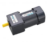 <b>阻尼电机5RK60GU-CF/60W</b>